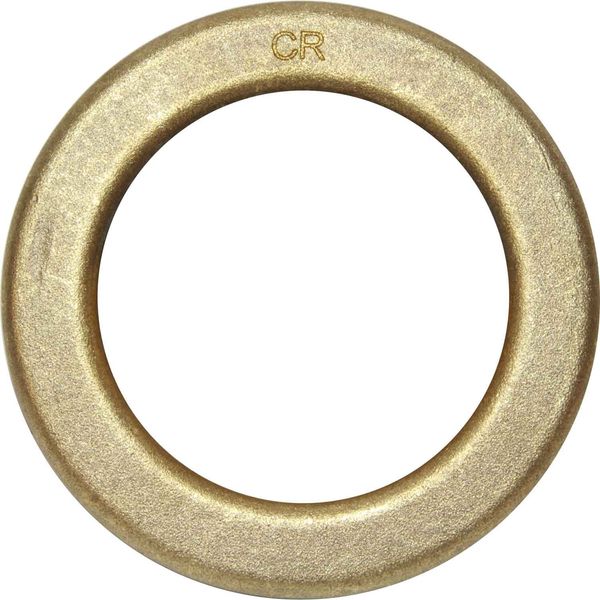 Maestrini DZR Brass Washer (3" BSP)