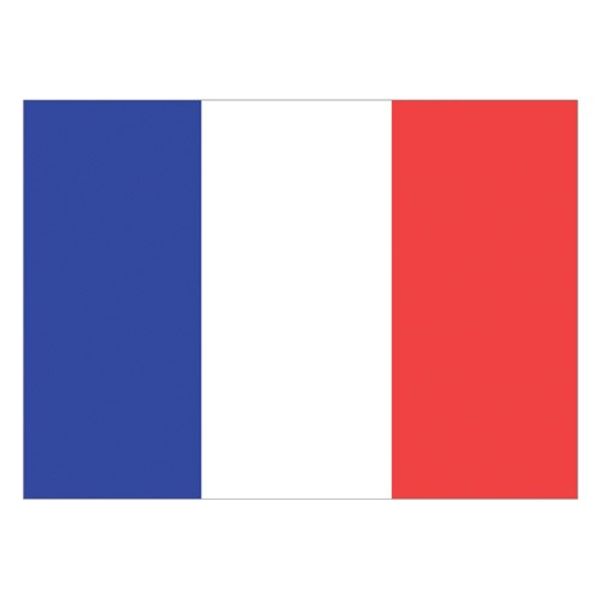 Flag France (30 x 45cm)