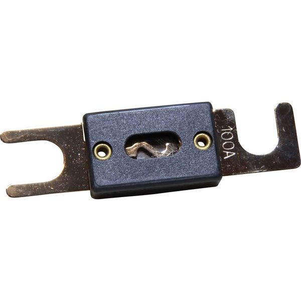 Osculati ANL Fuse (100 Amp / 5/16" Studs)