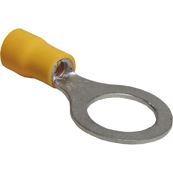 AMC Terminal Loop 13mm Yellow (50)