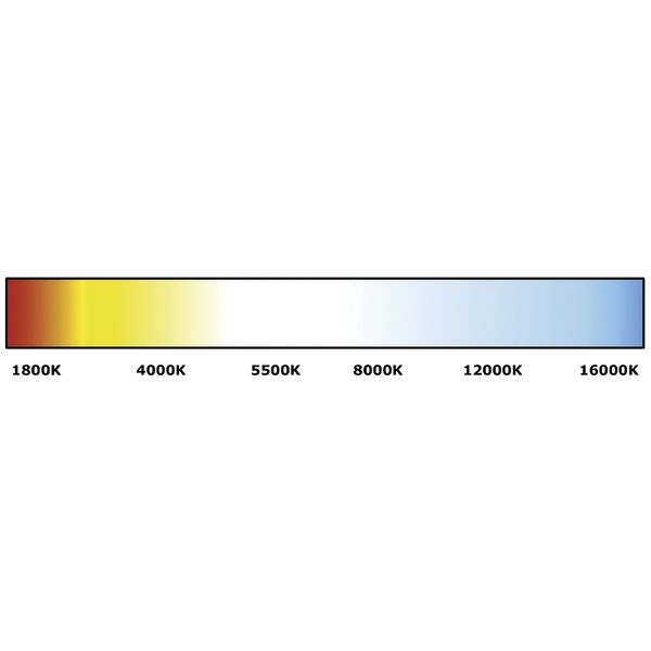 Quick Eyelid Courtesy Light Chrome 10-30V Daylight LED IP65