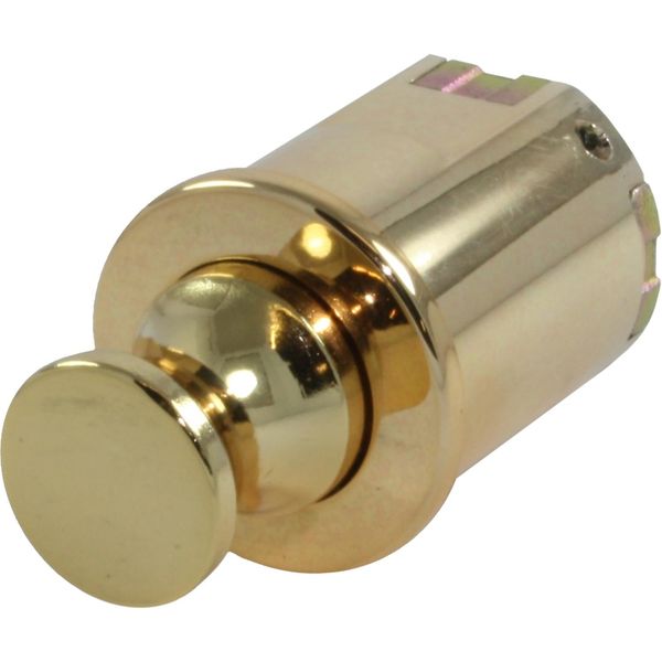 Osculati Knob Latch for Cabinet Doors & Drawers (Gold Finish)