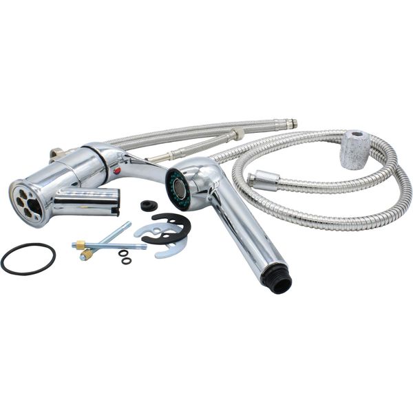 Trem Monobloc Sink Shower Mixer + Hose- Chrome