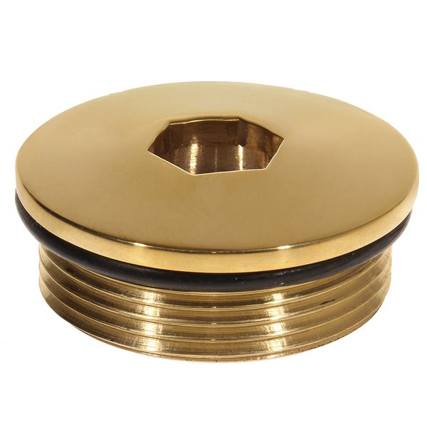 AG Brass Pump Out Cap