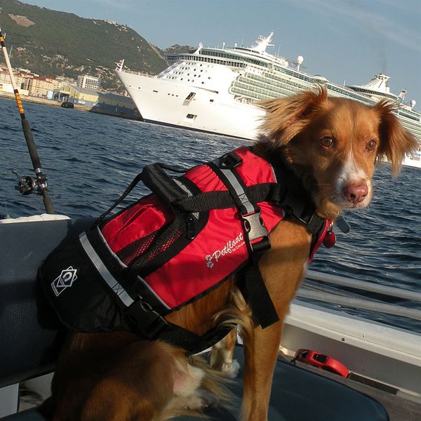 Crewsaver Pet Buoyancy Aid (Medium 14"-18")