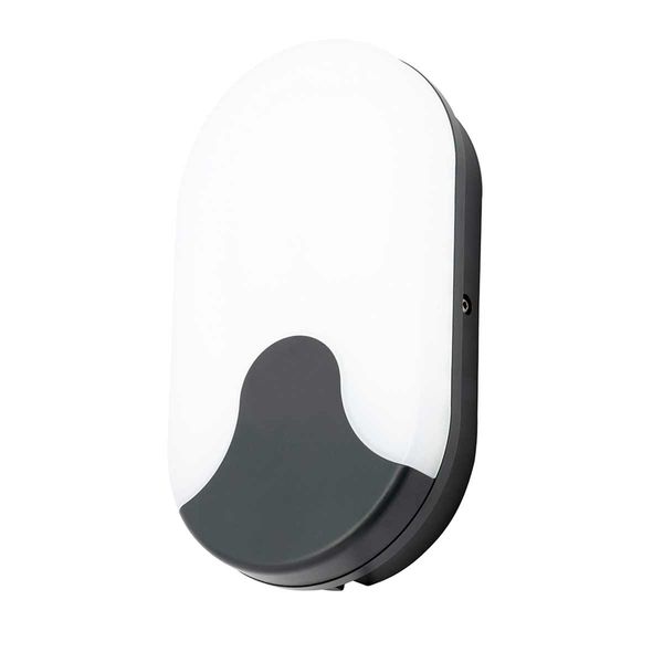 Turus Oval Bulkhead Light in Black (1200lm / 15W)