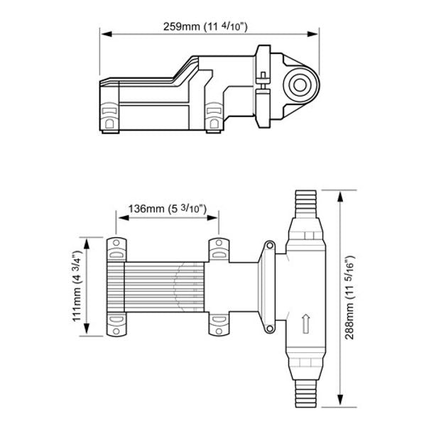 Whale Gulper Grouper Fishbox Pump (12V, 25mm / 38mm)