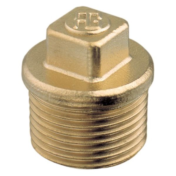 Male Plug Brass 2" BSP Taper