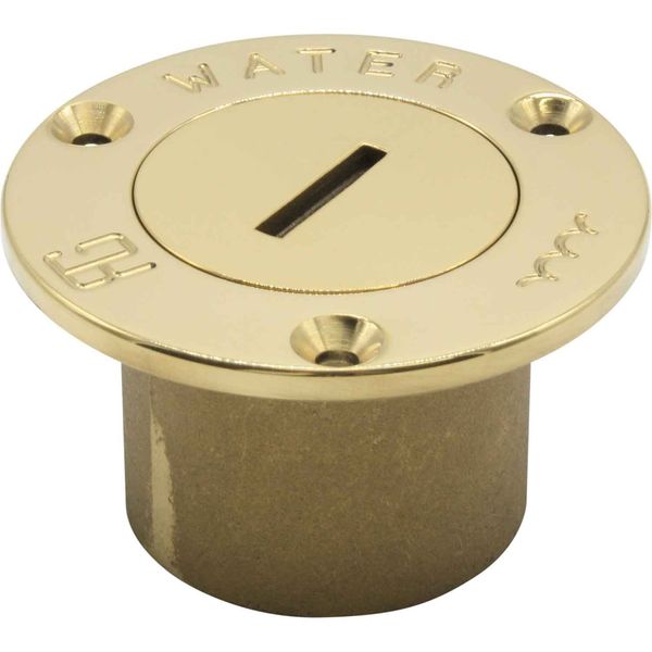 Water Deck Filler in Polished Brass 1-1/2" BSP Female