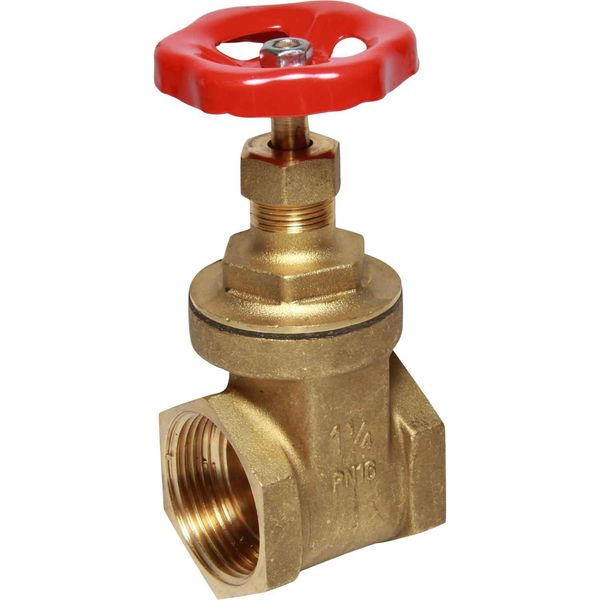 Maestrini Brass Gate Valve with Brass Body (1-1/4" BSP Female)