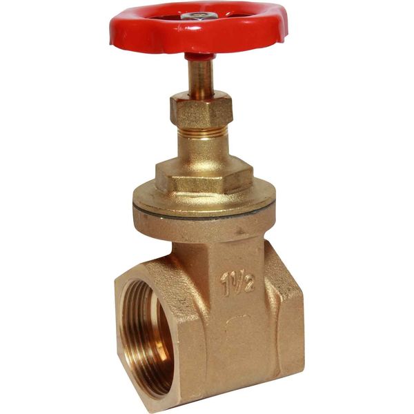 Maestrini Brass Gate Valve with Bronze Body (1-1/2" BSP Female / Packaged)