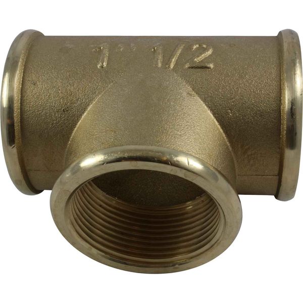 Maestrini Brass Equal Tee Fitting (1-1/2" BSP Female / Packaged)