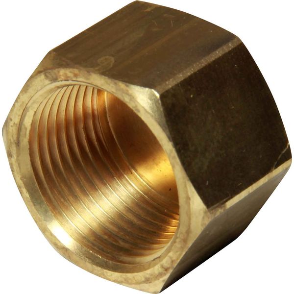 Maestrini Brass Blanking Cap (1" BSP Female / Packaged)