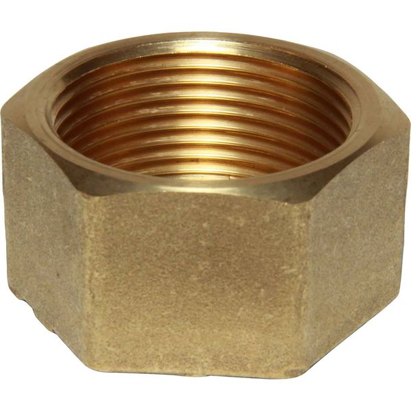 Maestrini Brass Blanking Cap (1-1/4" BSP Female / Packaged)