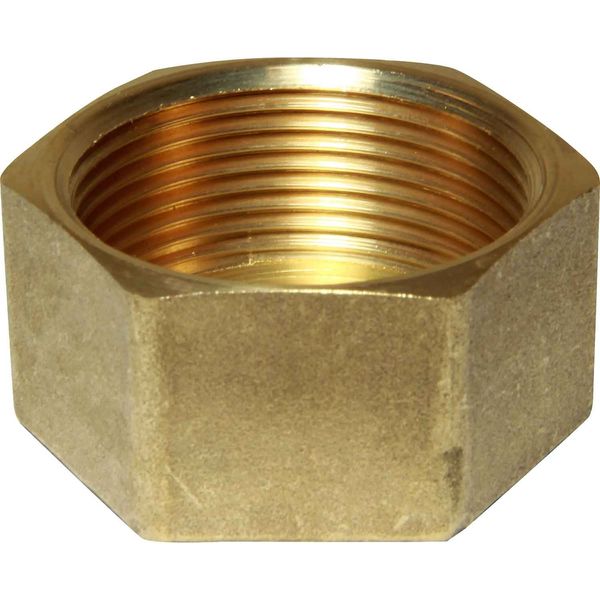 Maestrini Brass Blanking Cap (1-1/2" BSP Female / Packaged)