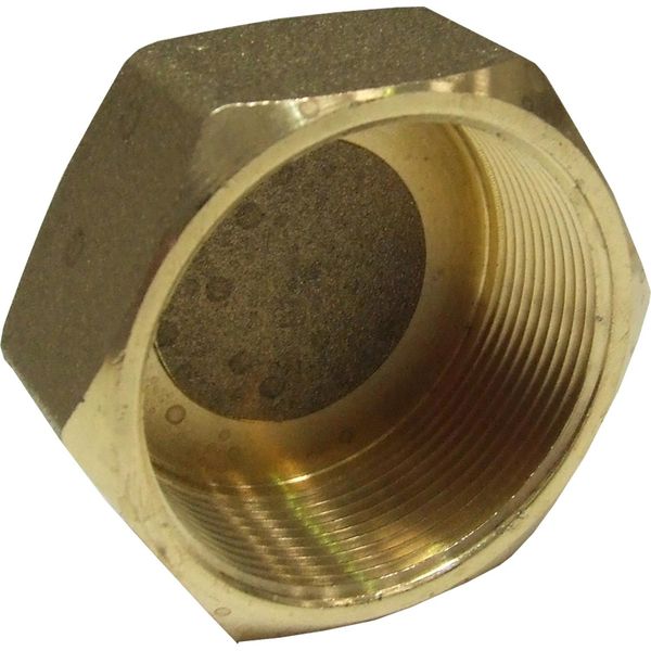 Maestrini Brass Blanking Cap (2" BSP Female / Packaged)