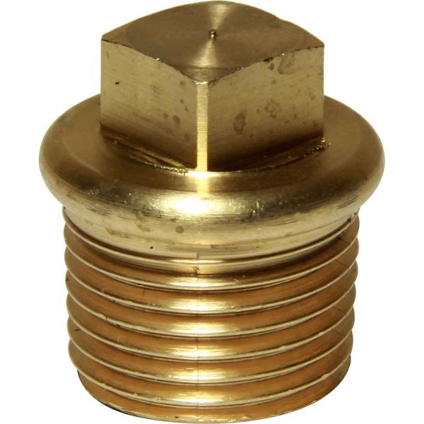 Maestrini Brass Tapered Plug (1/2" BSP Male / Packaged)