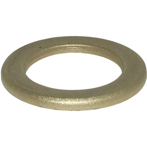 Maestrini Brass Washer (1-1/4" BSP / Packaged)