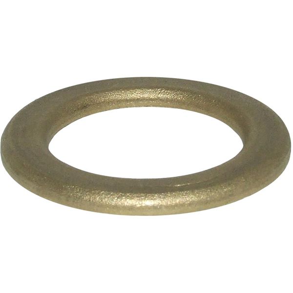 Maestrini Brass Washer (1-1/2" BSP / Packaged)