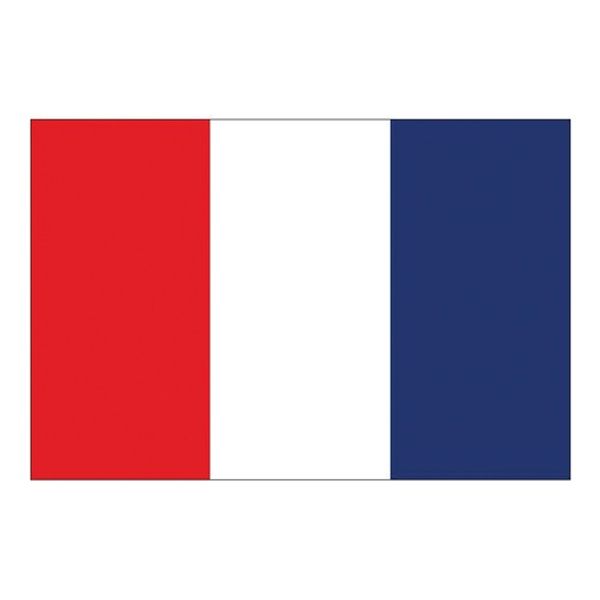 Flag International Code Signal T (30 x 45cm)